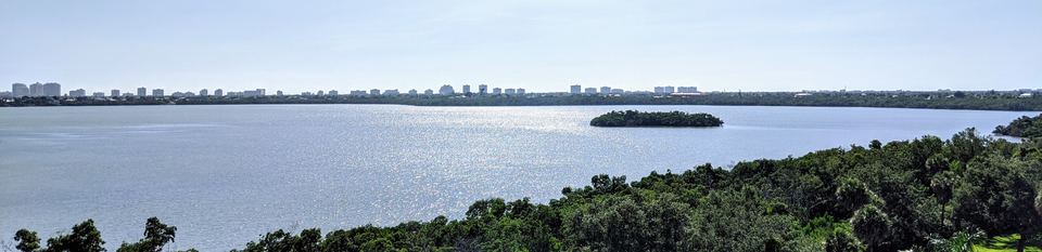 Gulf Coast bay and mangroves